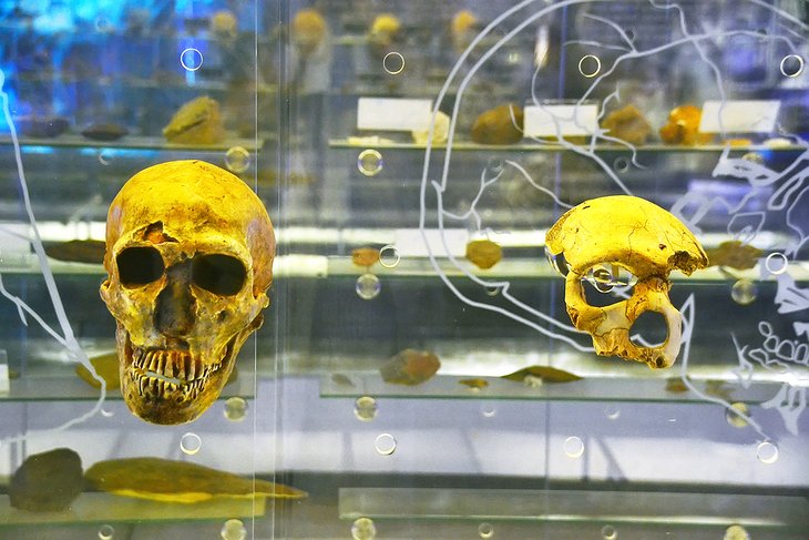 south-africa-johannesburg-top-rated-attractions-things-to-do-cradle-humankind-day-trip